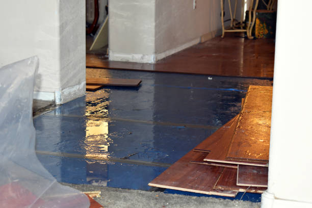 Professional Water Damage Restoration technician working in Claymont, DE